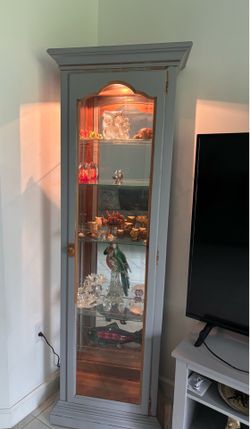 Glass and wood display cabinet with lighting!