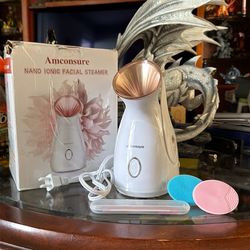 Facial Steamer