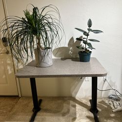 Beautiful Wayfair Table 