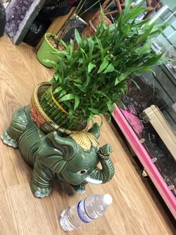 Bamboo elephant