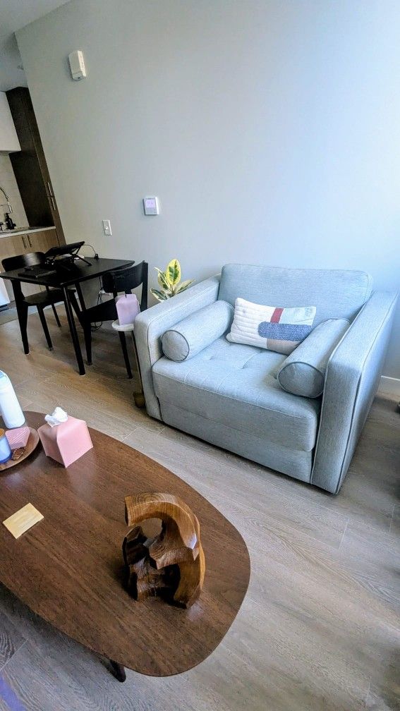 Article Sven 45.5" Sleeper Chair – 50% OFF (Retails $1000) – Like New