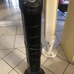 Fan 20.00 Each