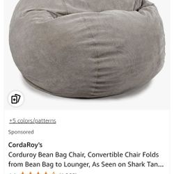 Corduroy Bean Bag 