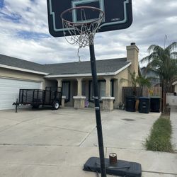 Freestanding Basketball Hoop