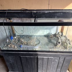 Fish Tank W/Filter