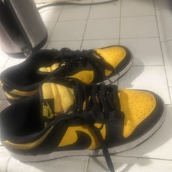 Dunks (Size 11)