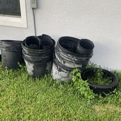 Large Tree Pots/flower Pots.   $70 ALL