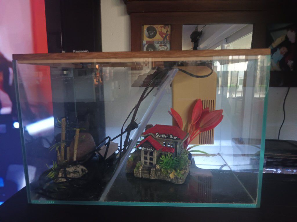 Fish Tanks With Accessories 