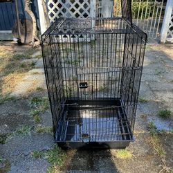 Free Bird Cage 