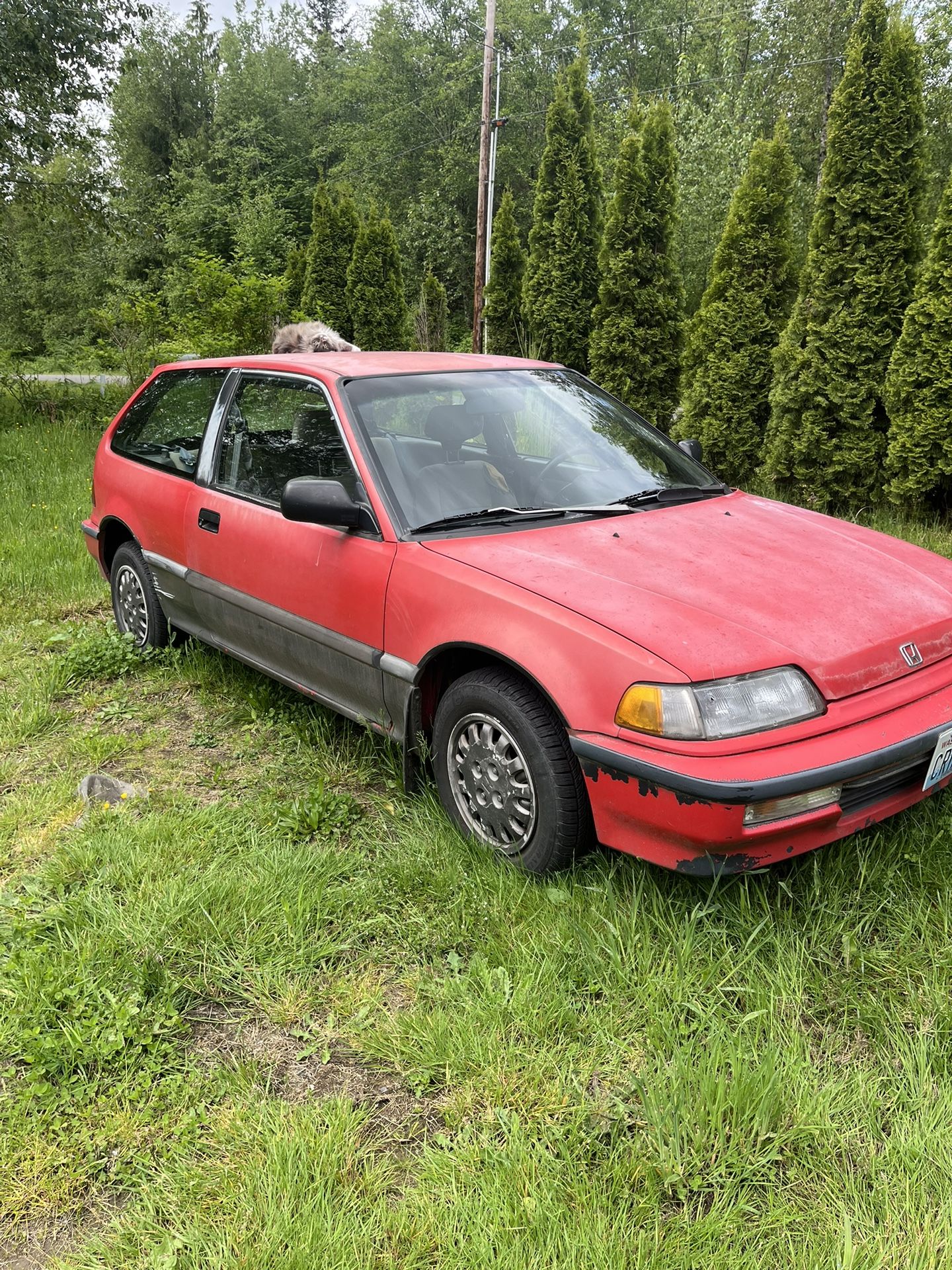 1991 Honda Civic