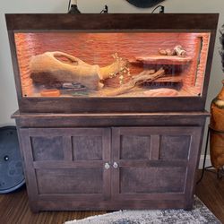 Custom Bearded Dragon Enclosure