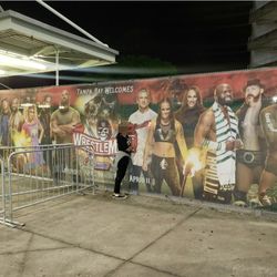 WWE Wrestlemania Tampa Banner 
