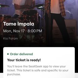 Tame Impala 11/17 Kia Forum