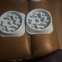 Dog Bowls 