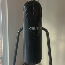 Punching bag with stand 