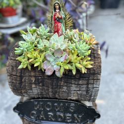 Succulents Arrangements En Tronko Con La Virgen De Guadalupe