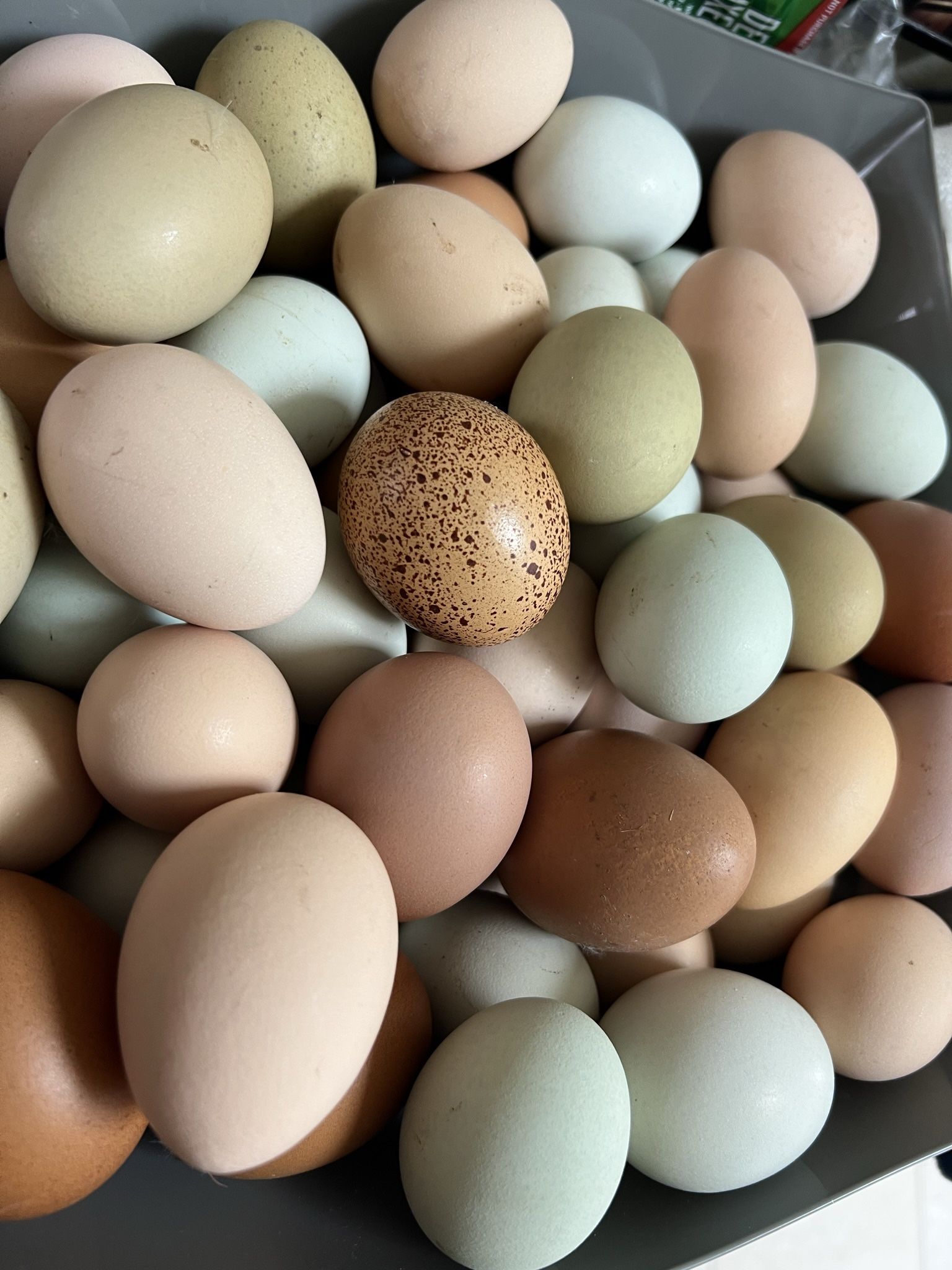 Fresh Unrefrigerated And Unwashed Eggs