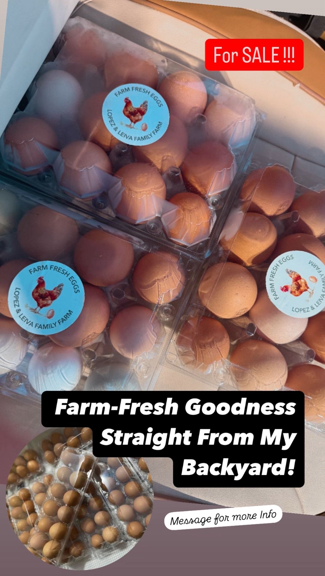 Farm-Fresh Goodness Straight From My Backyard!