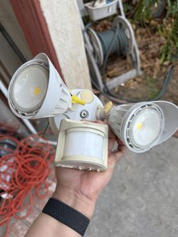 Flood Light