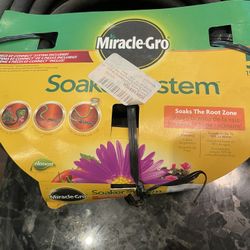 Miracle Gro And Stem 