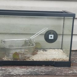 Cheap Ten (10) Gallon Reptile Tank With A Thermometer - Fairly Dirty