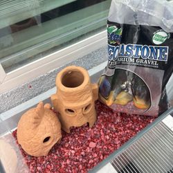 3 Gallon Fish Tank + Accessories & Filter