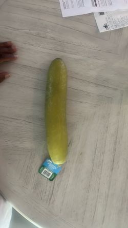 SQUISHY Pickle Sunny Days Viral Fidget Squeeze