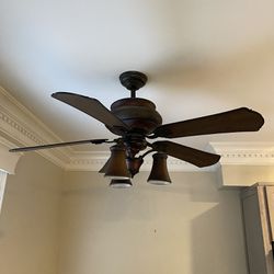 Ceiling Fan ( Outdoor Use Too)