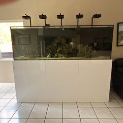 450 Gallon Saltwater Tank For Sale
