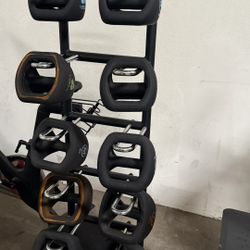 DUMBBELLS DUMBBELL WEIGHTS DUMB BELL