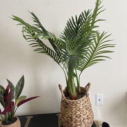 Faux Fake Palm Plant From LOWE’S In Braided Basket With River Stones In Bottom