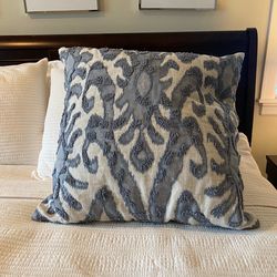 Pottery Barn Deluxe Pillow
