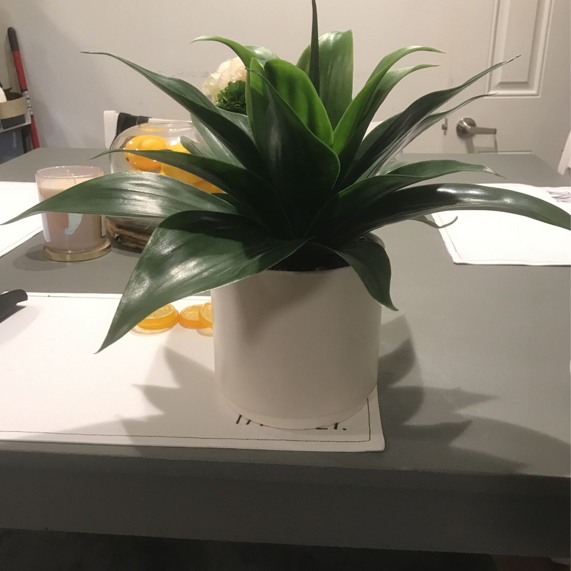 Plant (fake)