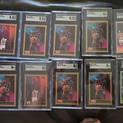 Graded Jordan's Robinson Magic and Bird
