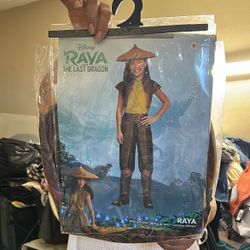 Raya The Last Dragon  Costume 