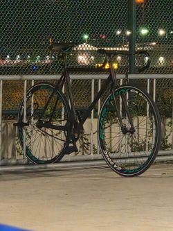 Custom Track Bike Fixie