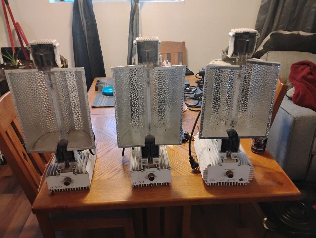 Grow Room Start Up Kit