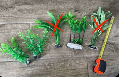Aquarium plants plastic