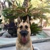 Roxy 