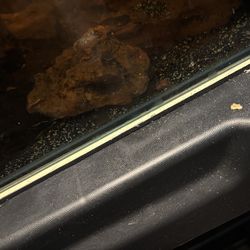 15 gallon rimless cube aquarium