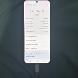 Samsung Galaxy Z Flip3