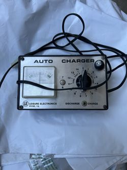 Leisure Electronics Auto charger