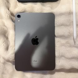 Apple Mini iPad