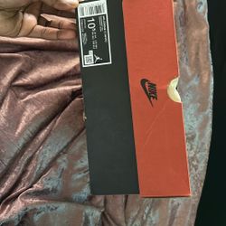Jordan 12s