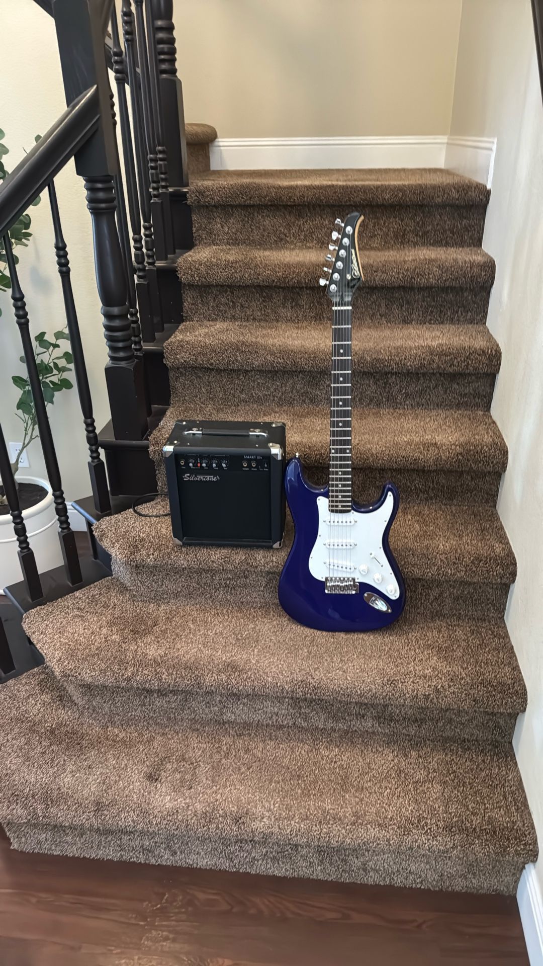 Silvertone Electric Guitar And Amplifier