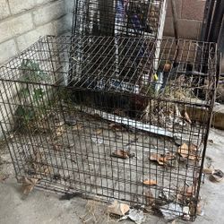 Dog Cage