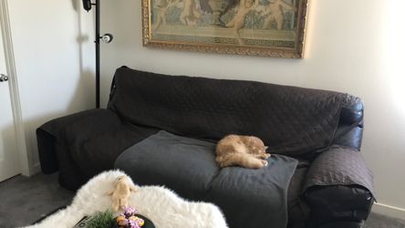 FREE SOFA!!!