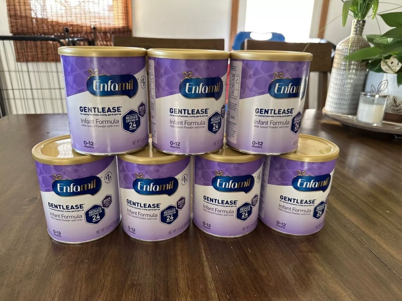 Enfamil Gentlease Infant Formula – 12.4 oz (Sealed, Expires Jan 2027)