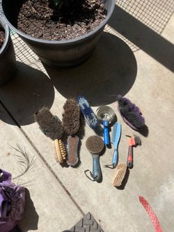 Horse brushes