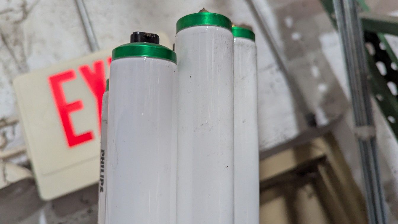 Florescent 8 Foot Long Bulbs Free